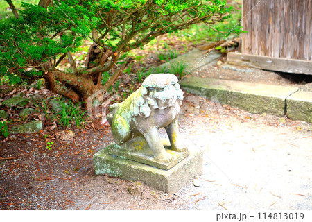 東北・遠野・カッパ淵・歴史情緒を体感できる、常堅寺のカッパ狛犬・岩手県遠野市(4) 114813019