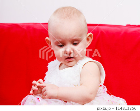 Little girl child portrait 114813256