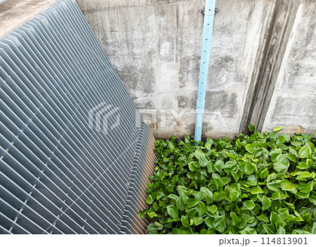 The large metal grille for filtering weeds. 114813901