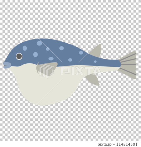 Illustration of a blowfish Illustration of a blowfish 114814301