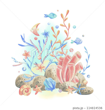 Sea corals, algae, shells, starfish, fish, bubbles. Watercolor illustration hand drawn in coral, turquoise and blue colors. Composition isolated from the background Sea corals, algae, shells, starfish, fish, bubbles. Watercolor illustration hand drawn in coral, turquoise and blue colors. Composition isolated from the background 114814536
