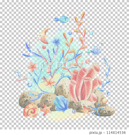 Sea corals, algae, shells, starfish, fish, bubbles. Watercolor illustration hand drawn in coral, turquoise and blue colors. Composition isolated from the background Sea corals, algae, shells, starfish, fish, bubbles. Watercolor illustration hand drawn in coral, turquoise and blue colors. Composition isolated from the background 114814536