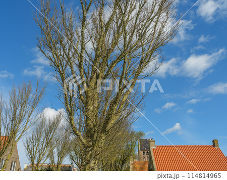 the island of ameland in the dutch north sea the island of ameland in the dutch north sea 114814965