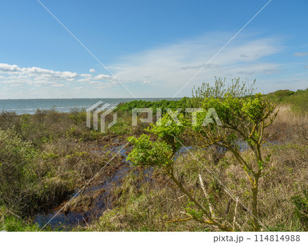 the island of ameland in the dutch north sea 114814988