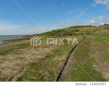 the island of ameland in the dutch north sea the island of ameland in the dutch north sea 114815017