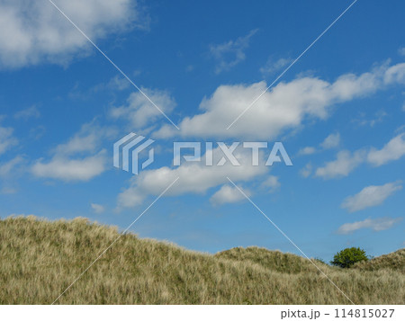 the island of ameland in the dutch north sea 114815027