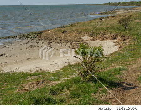 the island of ameland in the dutch north sea 114815050