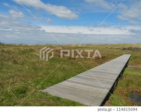 the island of ameland in the dutch north sea the island of ameland in the dutch north sea 114815094