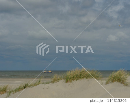 the island of ameland in the dutch north sea 114815203