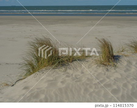 the island of ameland in the dutch north sea 114815370