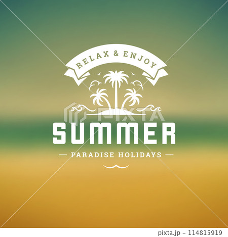 Summer holidays label or badge typography slogan design Summer holidays label or badge typography slogan design 114815919