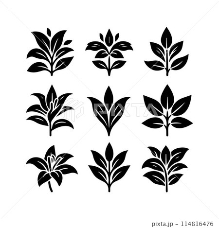 Leaves, Foliage, Greenery, Foliage silhouette editable vector illustration isolated over white background Leaves, Foliage, Greenery, Foliage silhouette editable vector illustration isolated over white background 114816476