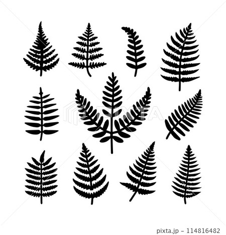Leaves, Foliage, Greenery, Foliage silhouette editable vector illustration isolated over white background Leaves, Foliage, Greenery, Foliage silhouette editable vector illustration isolated over white background 114816482