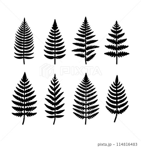 Leaves, Foliage, Greenery, Foliage silhouette editable vector illustration isolated over white background Leaves, Foliage, Greenery, Foliage silhouette editable vector illustration isolated over white background 114816483