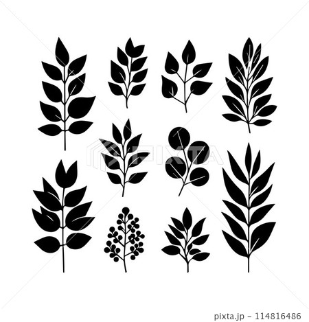 Leaves, Foliage, Greenery, Foliage silhouette editable vector illustration isolated over white background Leaves, Foliage, Greenery, Foliage silhouette editable vector illustration isolated over white background 114816486