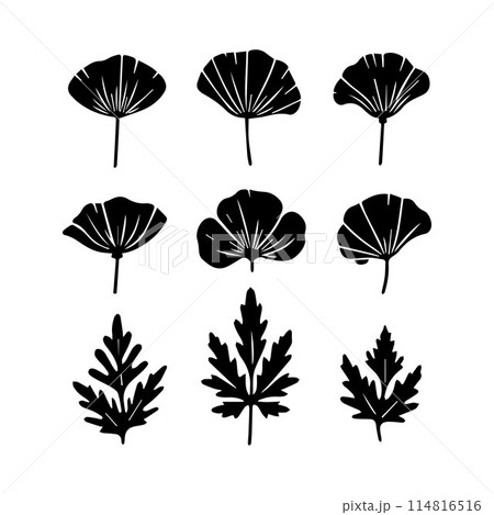 Leaves, Foliage, Greenery, Foliage silhouette editable vector illustration isolated over white background Leaves, Foliage, Greenery, Foliage silhouette editable vector illustration isolated over white background 114816516