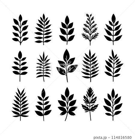 Leaves, Foliage, Greenery, Foliage silhouette editable vector illustration isolated over white background Leaves, Foliage, Greenery, Foliage silhouette editable vector illustration isolated over white background 114816580