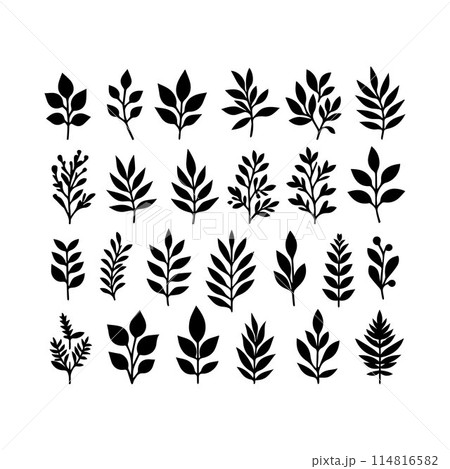 Leaves, Foliage, Greenery, Foliage silhouette editable vector illustration isolated over white background Leaves, Foliage, Greenery, Foliage silhouette editable vector illustration isolated over white background 114816582