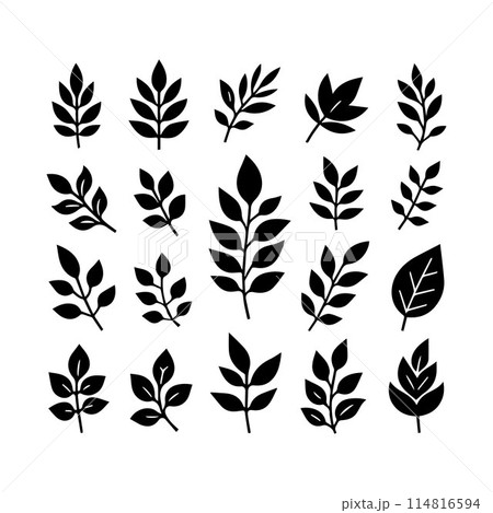 Leaves, Foliage, Greenery, Foliage silhouette editable vector illustration isolated over white background 114816594