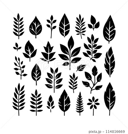 Leaves, Foliage, Greenery, Foliage silhouette editable vector illustration isolated over white background 114816669