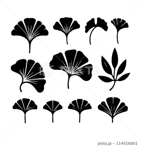 Leaves, Foliage, Greenery, Foliage silhouette editable vector illustration isolated over white background Leaves, Foliage, Greenery, Foliage silhouette editable vector illustration isolated over white background 114816801