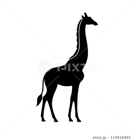 Giraffe, Camelopard, Giraffid, silhouette editable vector illustration isolated over white background Giraffe, Camelopard, Giraffid, silhouette editable vector illustration isolated over white background 114816893