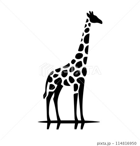 Giraffe, Camelopard, Giraffid, silhouette editable vector illustration isolated over white background Giraffe, Camelopard, Giraffid, silhouette editable vector illustration isolated over white background 114816950