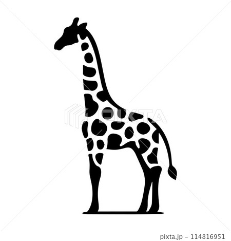 Giraffe, Camelopard, Giraffid, silhouette editable vector illustration isolated over white background Giraffe, Camelopard, Giraffid, silhouette editable vector illustration isolated over white background 114816951