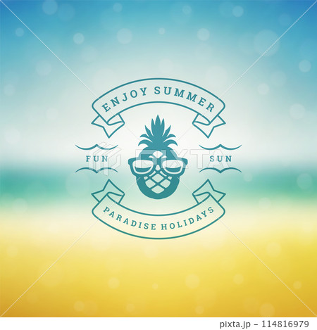 Summer holidays label or badge typography slogan design Summer holidays label or badge typography slogan design 114816979
