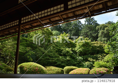 丈山寺　詩仙堂　サツキの咲く庭園 114817918