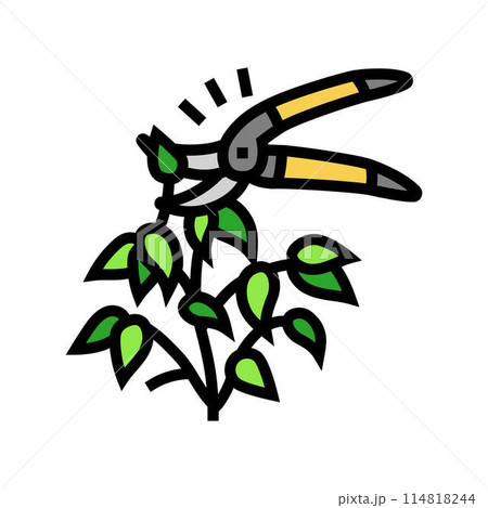 pruning urban gardening color icon vector illustration pruning urban gardening color icon vector illustration 114818244