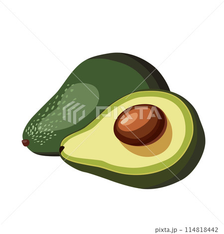 Fresh whole and half cut green avocado isolated on white background. Side view. Vector food clipart Fresh whole and half cut green avocado isolated on white background. Side view. Vector food clipart 114818442