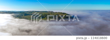 Aerial view of Bordeaux vineyard at sunrise spring under fog, Sainte-Croix-du-Mont, Gironde, France 114818600