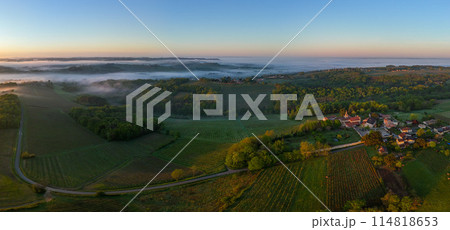 Aerial view of Bordeaux vineyard at sunrise spring under fog, Rions, Gironde, France 114818653