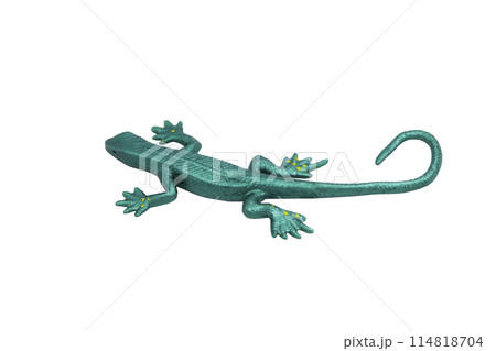 Green rubber lizard toy with no background. Stretchable toy. Anti-stress. Horizontal photo. For text. 114818704