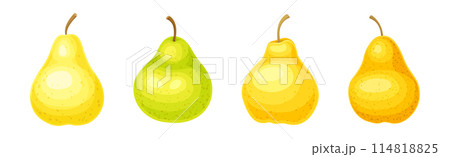 Ripe Sweet Pear Fruit of Bright Color Vector Set Ripe Sweet Pear Fruit of Bright Color Vector Set 114818825