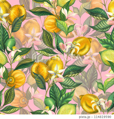 Watercolor seamless pattern with blooming lemons and lime branch with leaves, pink flowers and green lemon. Hand painted yellow fruits and flower isolated on pink background. Fresh citrus illustration 114819590