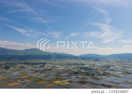 阿蘇の景色と水田（熊本県阿蘇） 114820667