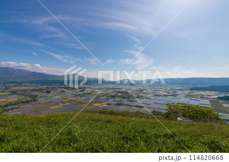 阿蘇の景色と水田（熊本県阿蘇） 114820668
