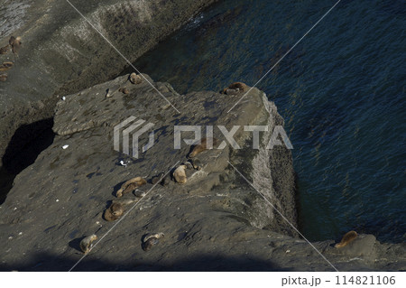 Cliffs landscape in Peninsula Valdes, Unesco World Heritage Site, Chubut Province, Patagonia, Argentina. Cliffs landscape in Peninsula Valdes, Unesco World Heritage Site, Chubut Province, Patagonia, Argentina. 114821106