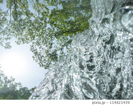 新緑の森を流れる清流　大山木谷沢渓流 114821439