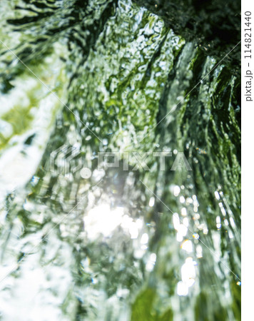 新緑の森を流れる清流　大山木谷沢渓流 114821440