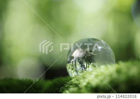 エコイメージ　ガラスの地球 114822018