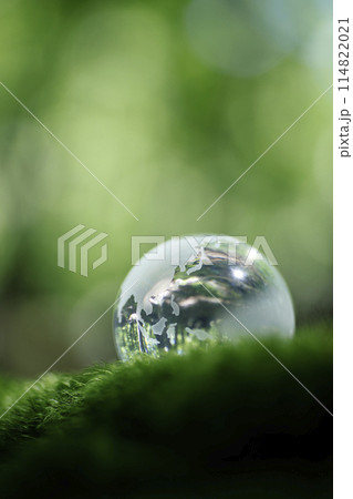 エコイメージ　ガラスの地球 114822021