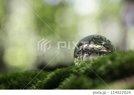 エコイメージ ガラスの地球 エコイメージ ガラスの地球 114822029