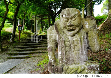 諏訪神社　伊佐市　鹿児島県　新緑の頃 114822087