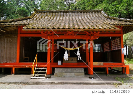 諏訪神社 伊佐市 鹿児島県 新緑の頃 諏訪神社 伊佐市 鹿児島県 新緑の頃 114822099