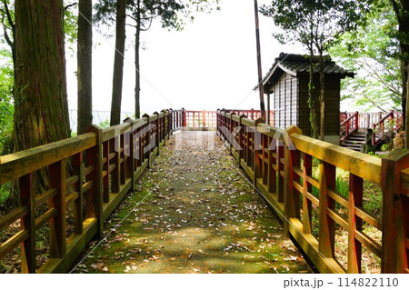 諏訪神社　伊佐市　鹿児島県　新緑の頃 114822110