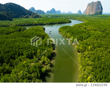 Amazing abundant mangrove forest, Aerial view of forest trees Rainforest ecosystem and healthy environment background Amazing abundant mangrove forest, Aerial view of forest trees Rainforest ecosystem and healthy environment background 114822230