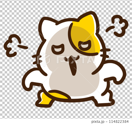 全身で怒りをあらわにするかわいいねこのキャラクターのコミカルなイラスト 全身で怒りをあらわにするかわいいねこのキャラクターのコミカルなイラスト 114822384